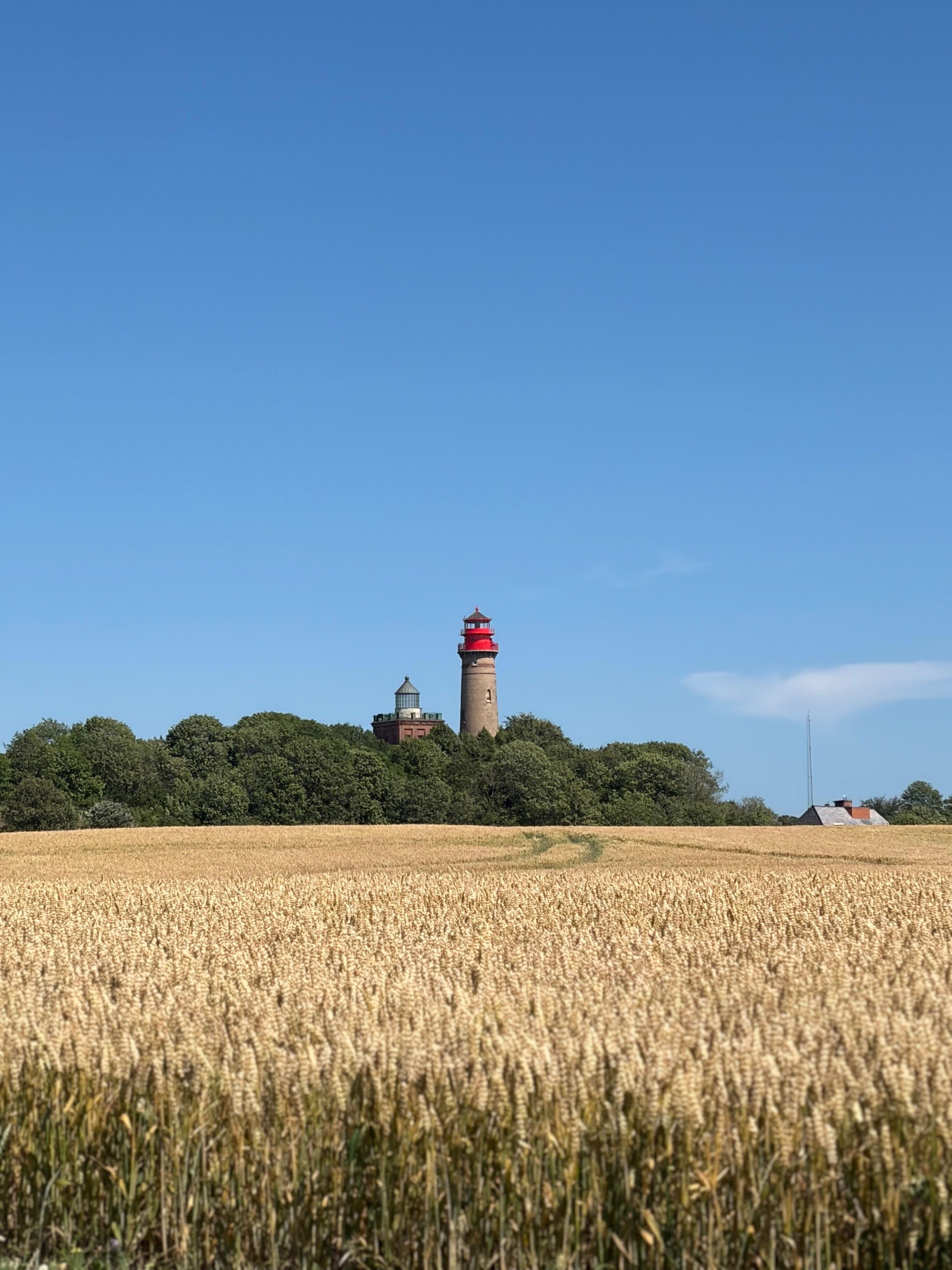 Die beiden Leuchttürme von Kap Arkona hinter einem reifen Kornfeld